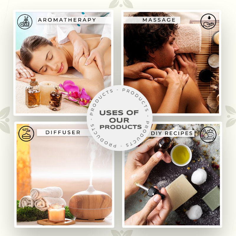 ScentedReverie Exotic Essential Oil Combo