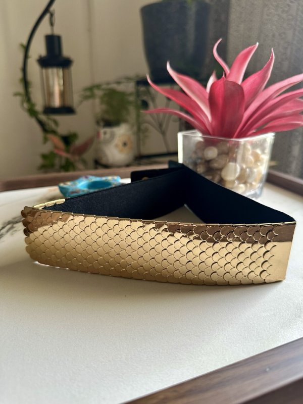 ShimmerClasp Black Broad Elastic Women Belt