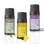 VerdantWhisper Exotic Essential Oil Combo