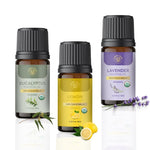 Carno Calm - VerdantWhisper Exotic Essential Oil Combo