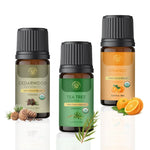 GildedHarmony Exotic Essential Oil Combo