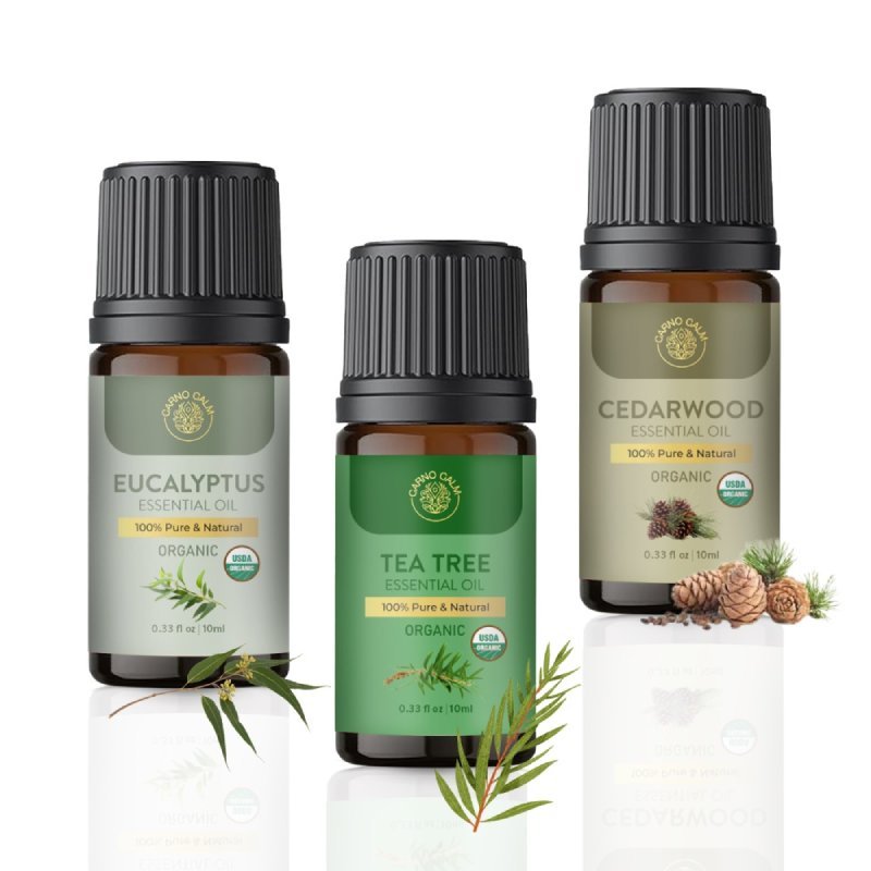 Carno Calm - ScentedReverie Exotic Essential Oil Combo