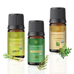 Carno Calm - CelestialAroma Exotic Essential Oil Combo