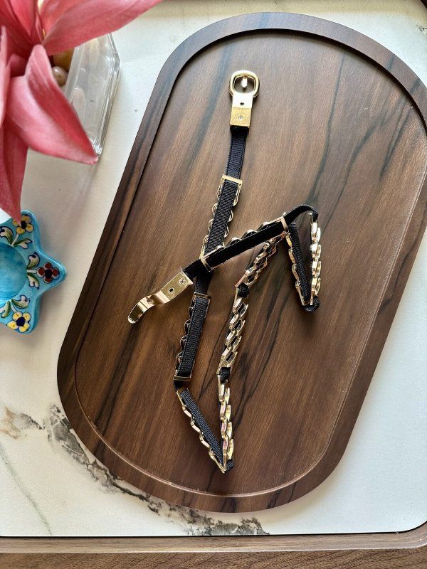 DazzleHide Golden Black Women Leather Belt