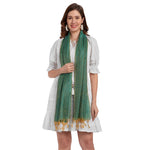 CrossKulture - SpringGreen Banarsee PolySilk Scarf Green front model view