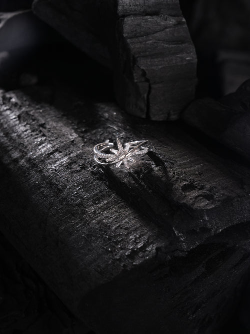 GleamNest Ring Silver