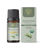 Carno Calm - VerdantWhisper Exotic Essential Oil Combo - Eucalyptus